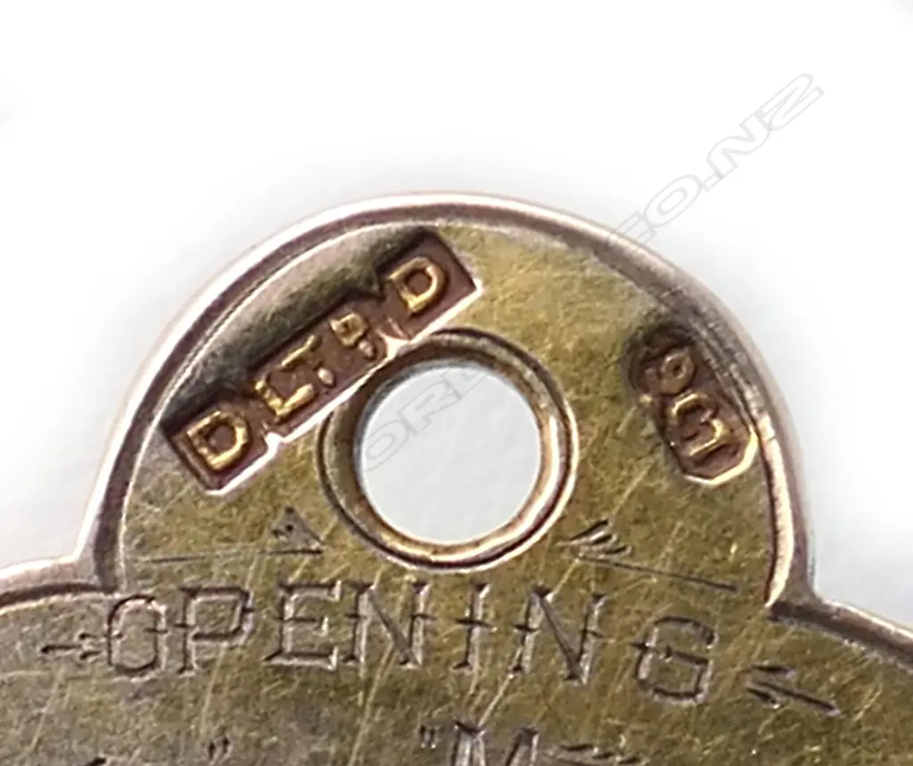 David Dawson Ltd. (Dunedin) 9ct gold 1923 presentation key, Image 1++